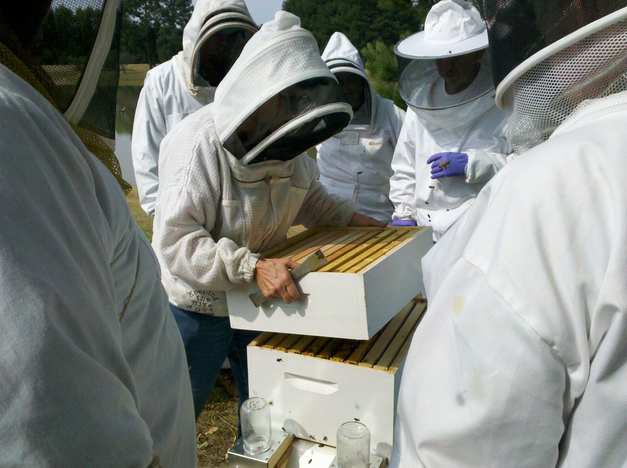 Beekeepers opening a hive