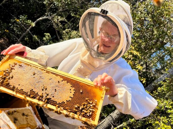 Debbie Griffith Named Master Beekeeper by the State - Toe Cane Beekeepers