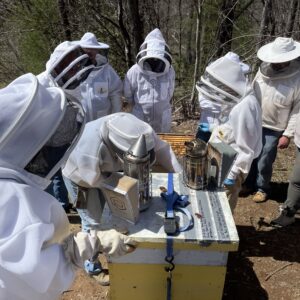 Students at the TCBA Bee Basics school gather around as an instructor shows them how to inspect a hive.
